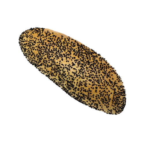 Pain Sandwich Aux Nigelle Ma boutique